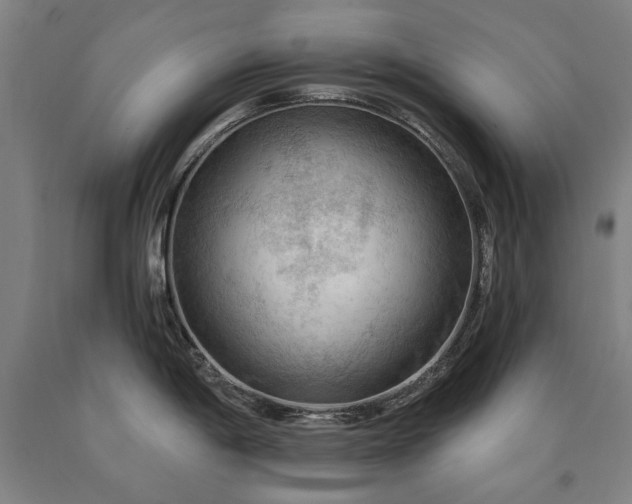 X0000090911198200707301427