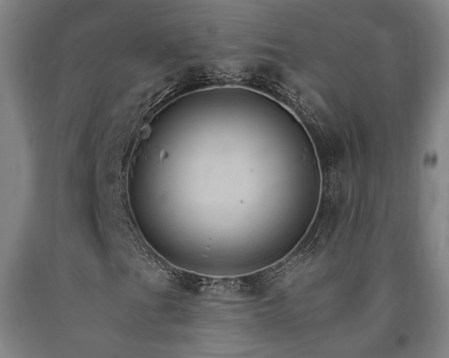 X0000090911201200707301426