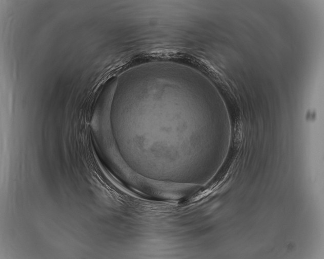 X0000090911202200707301426