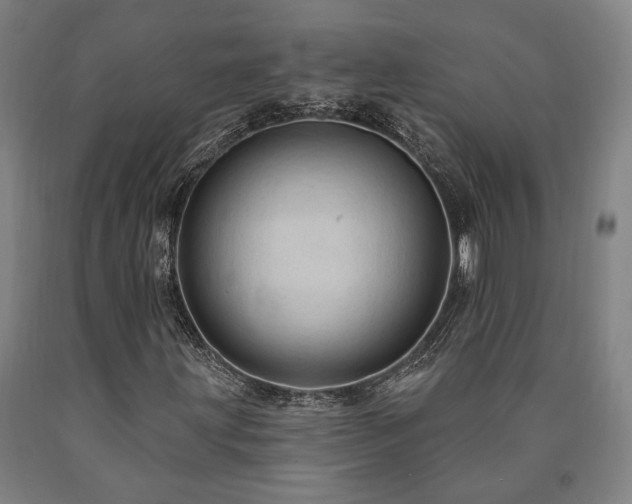 X0000090911203200707301426