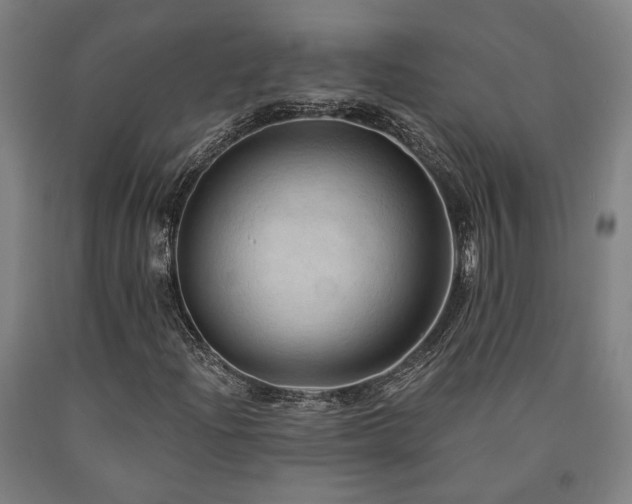 X0000090911204200707301426