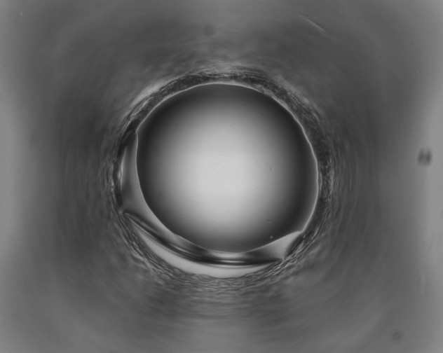 X0000090911206200707301426