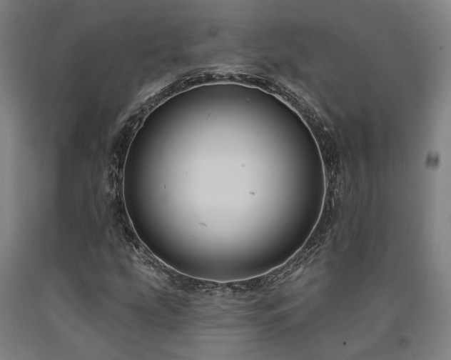 X0000090911207200707301427