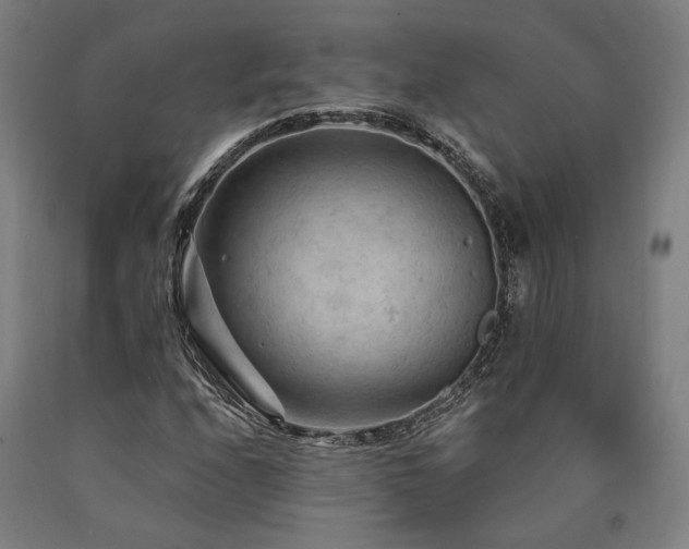 X0000090911208200707301427