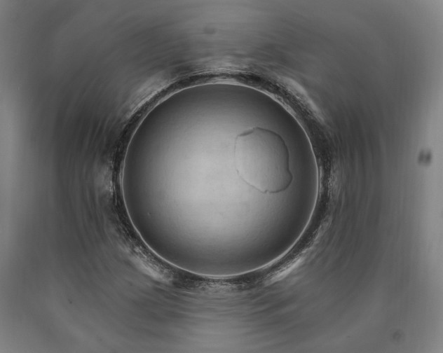 X0000090911209200707301427