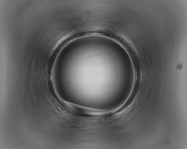 X0000090911210200707301427