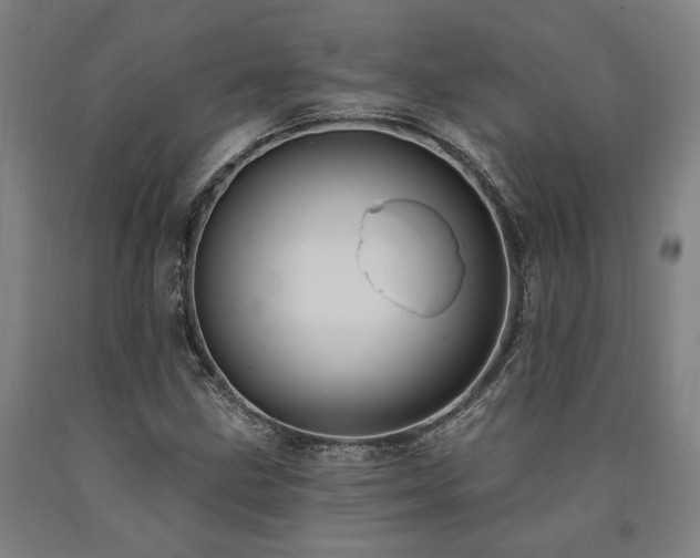 X0000090911211200707301427