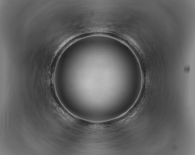 X0000090911212200707301427