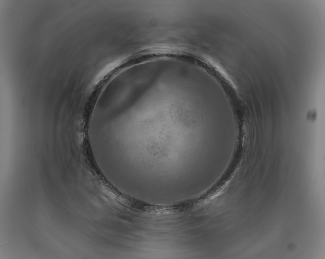 X0000090911213200707301427
