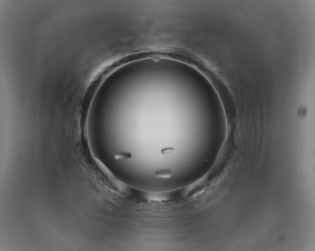 X0000090911214200707301427