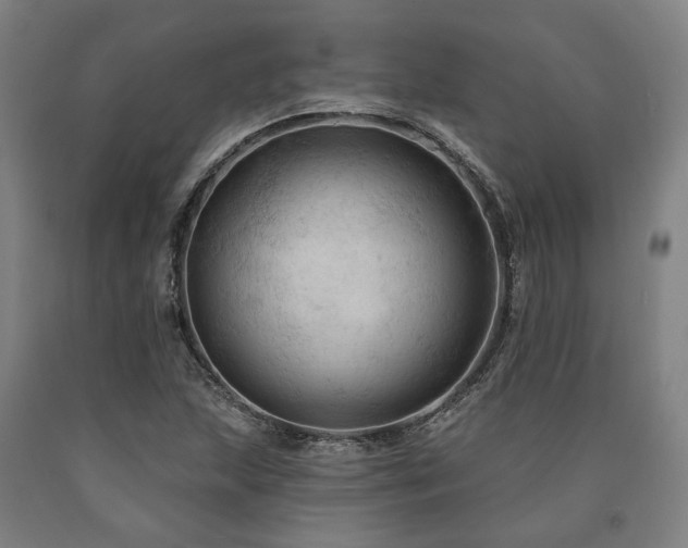 X0000090911215200707301427