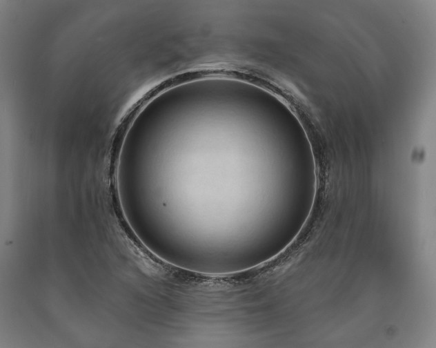 X0000090911216200707301427