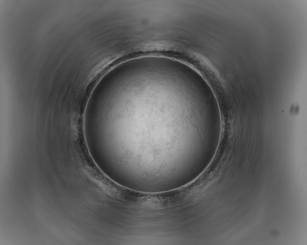 X0000090911217200707301427