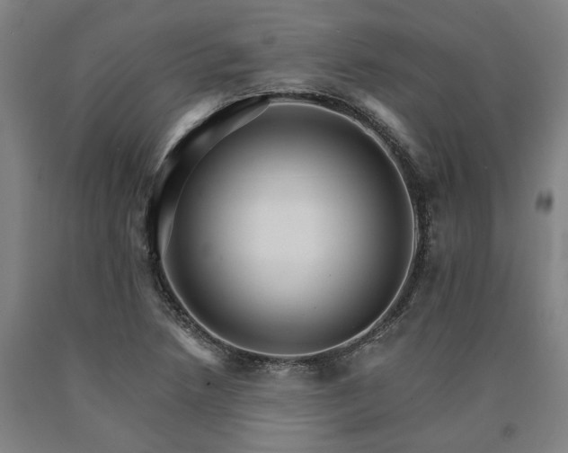 X0000090911218200707301427