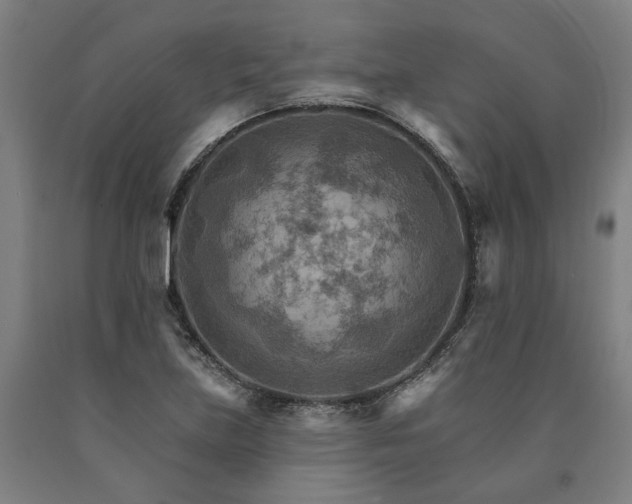 X0000090911219200707301427