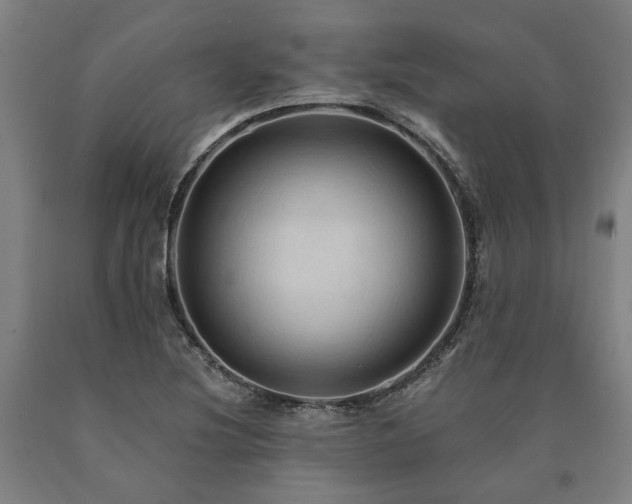 X0000090911220200707301427