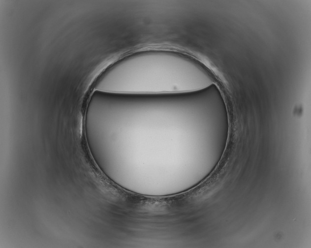 X0000090911221200707301427