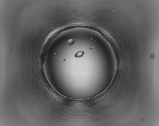 X0000090911222200707301427