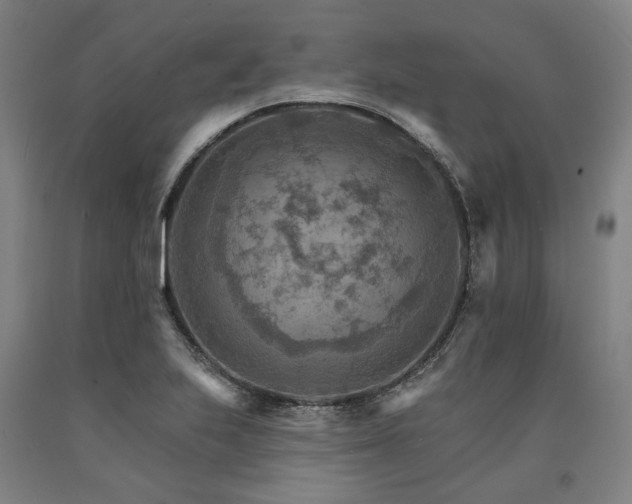 X0000090911223200707301427