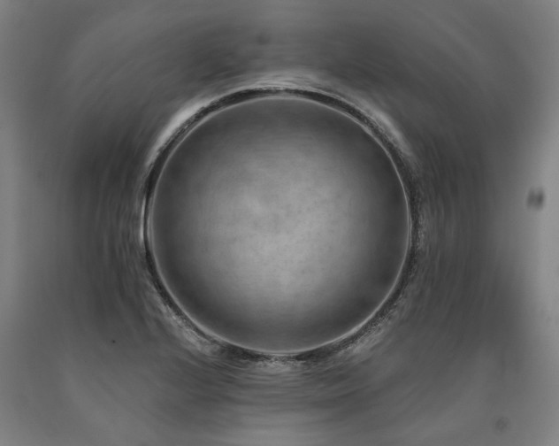 X0000090911224200707301427
