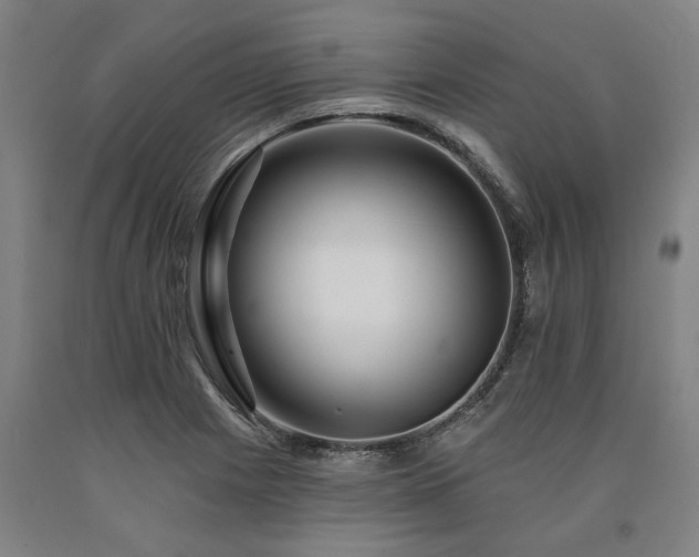X0000090911225200707301427