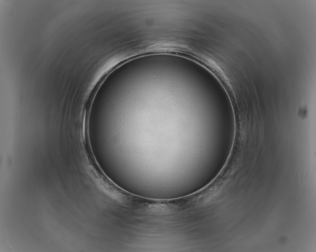 X0000090911227200707301427