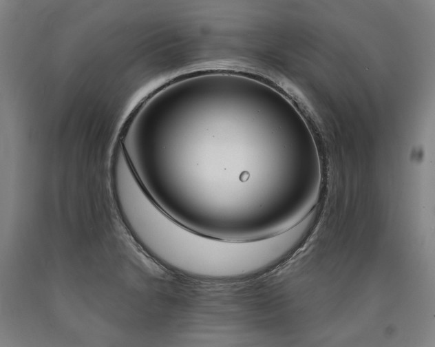 X0000090911230200707301427