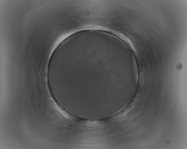 X0000090911231200707301427