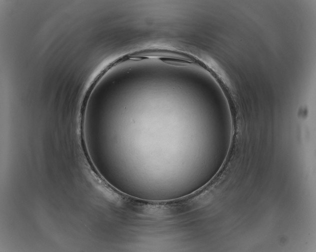 X0000090911232200707301427
