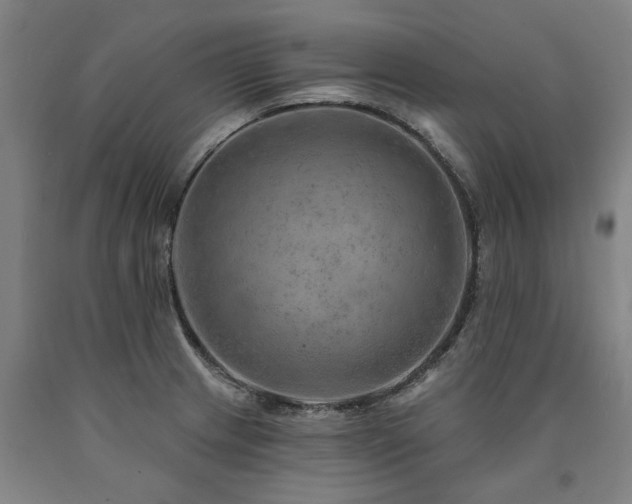 X0000090911233200707301427