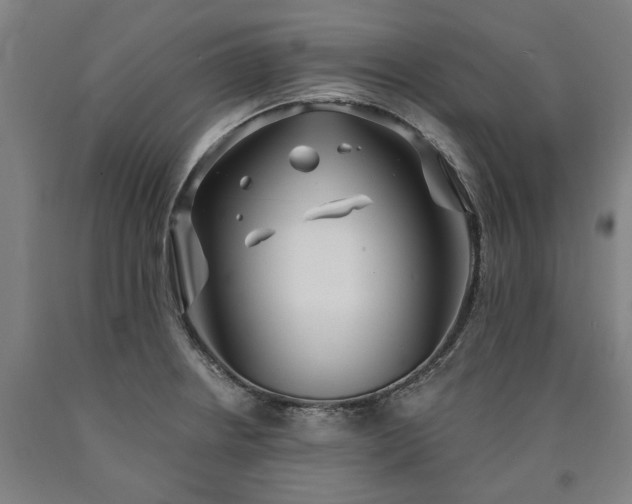 X0000090911234200707301427