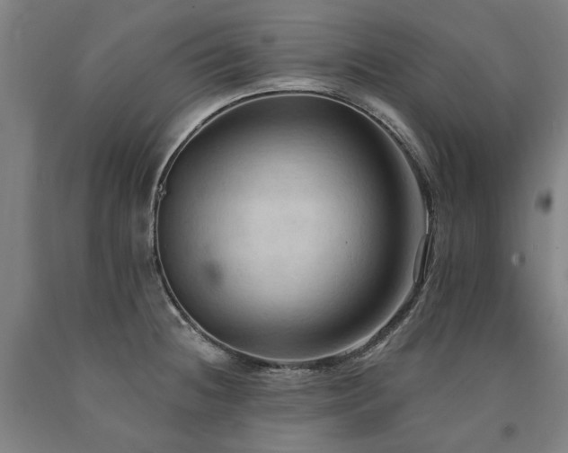 X0000090911236200707301427