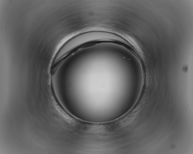 X0000090911238200707301427