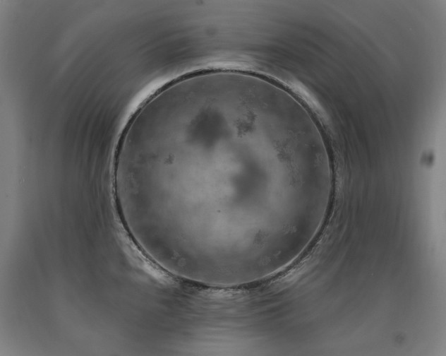 X0000090911240200707301427