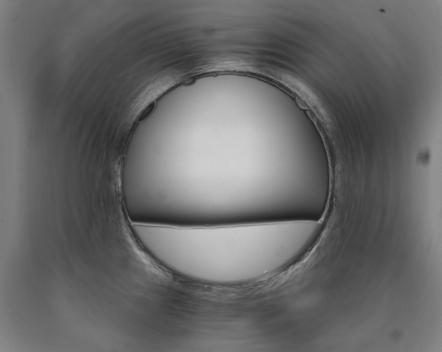 X0000090911241200707301427