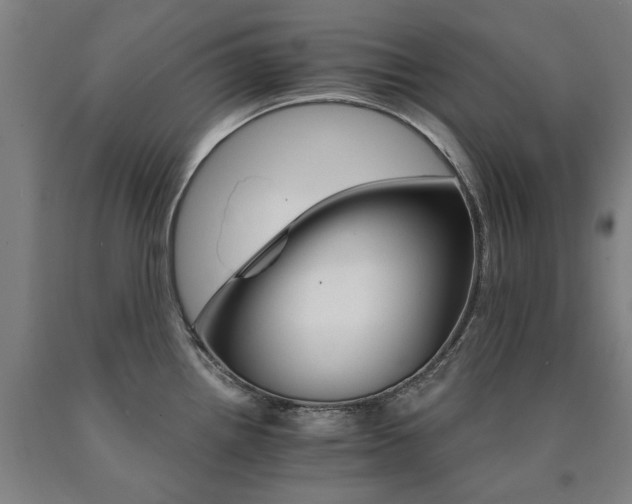 X0000090911242200707301427