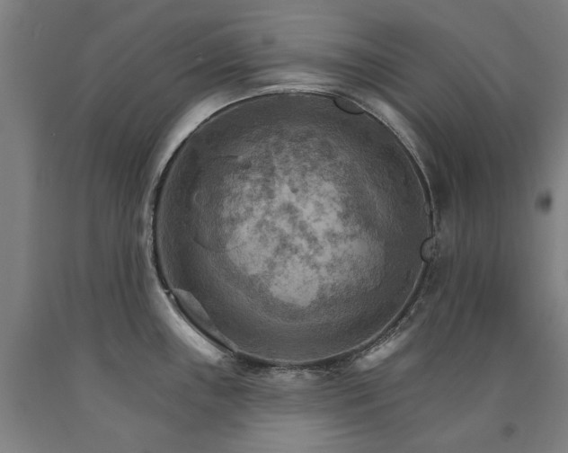 X0000090911243200707301427