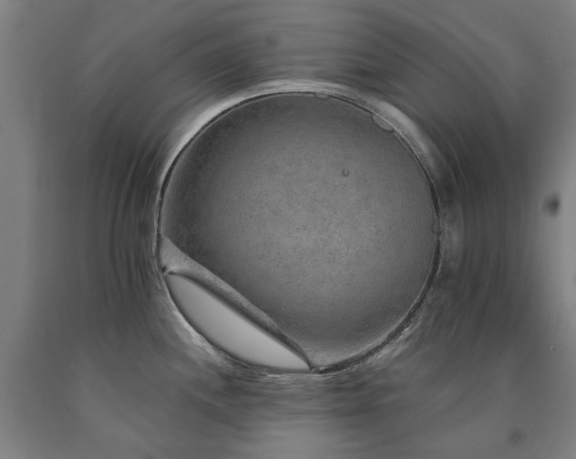 X0000090911244200707301427