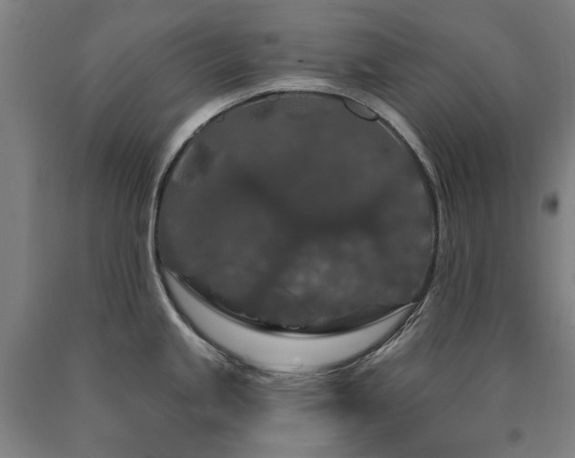 X0000090911245200707301427