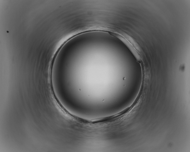 X0000090911246200707301427