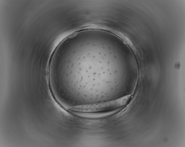 X0000090911247200707301427