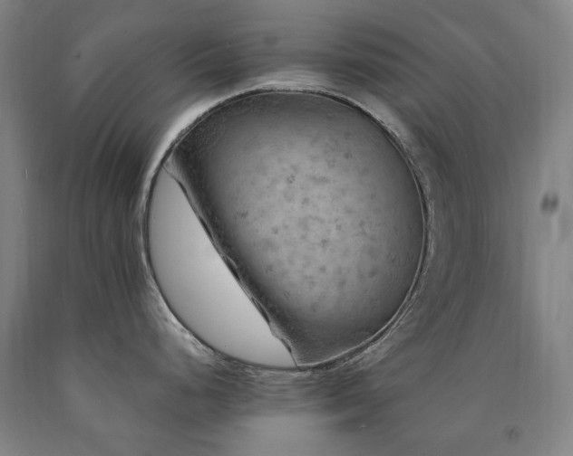 X0000090911248200707301427