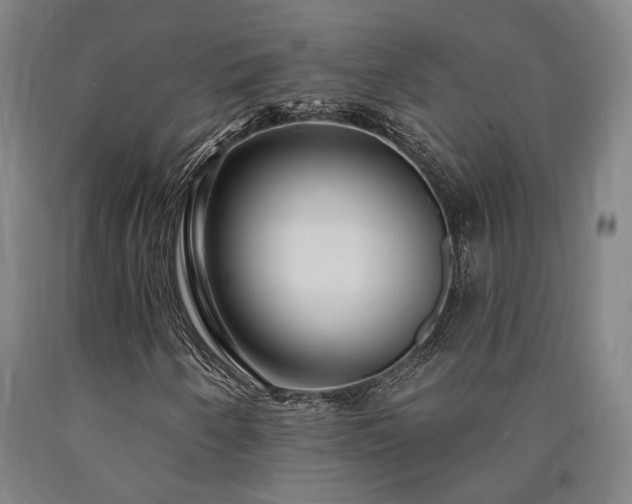 X0000090911250200707301426