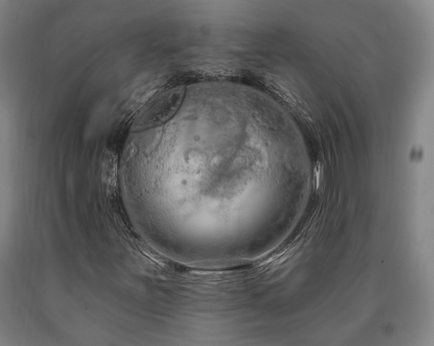 X0000090911251200707301426
