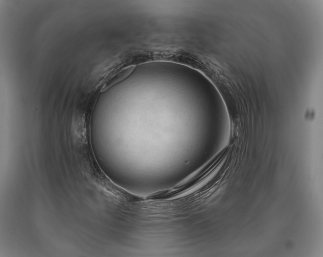 X0000090911252200707301426