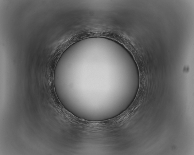 X0000090911253200707301426