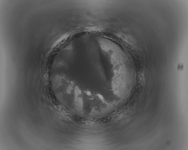 X0000090911254200707301426