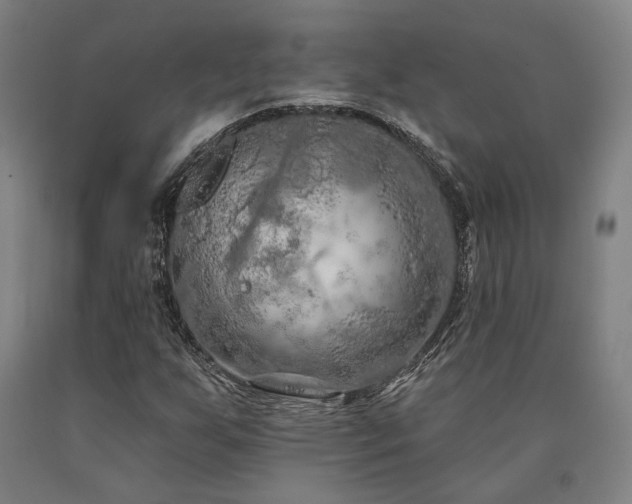X0000090911255200707301426