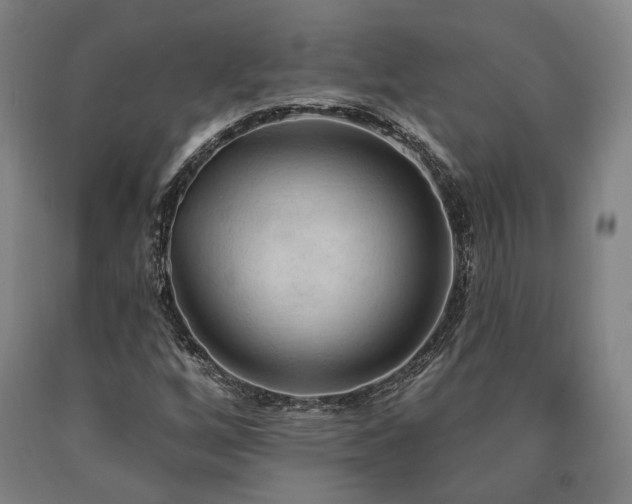 X0000090911256200707301426