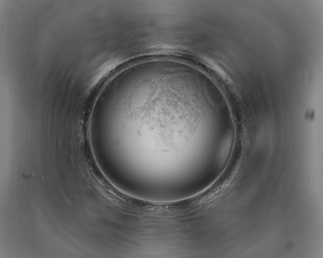X0000090911259200707301426